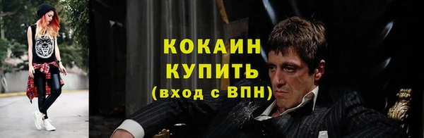 сатива Аркадак