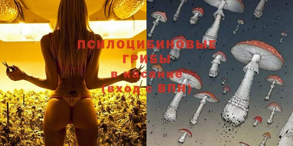 соль курить ск Гвардейск