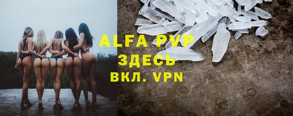 сатива Аркадак