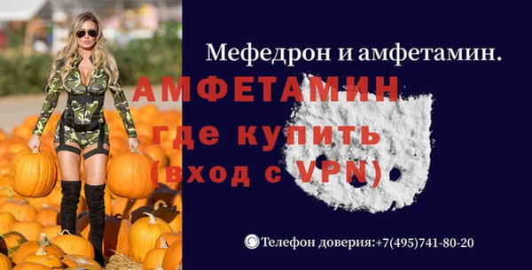 сатива Аркадак