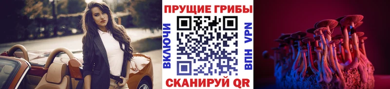 Псилоцибиновые грибы Psilocybine cubensis  купить наркотики сайты  Зуевка 